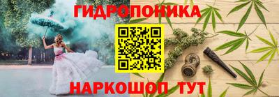 дживик Шелехов