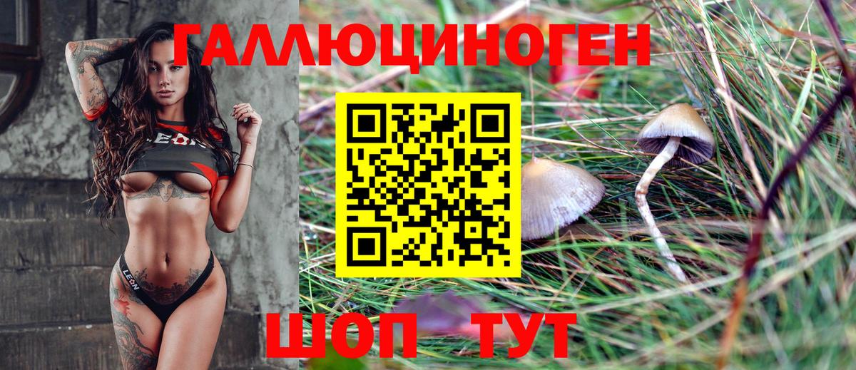 Псилоцибиновые грибы мицелий Богородицк